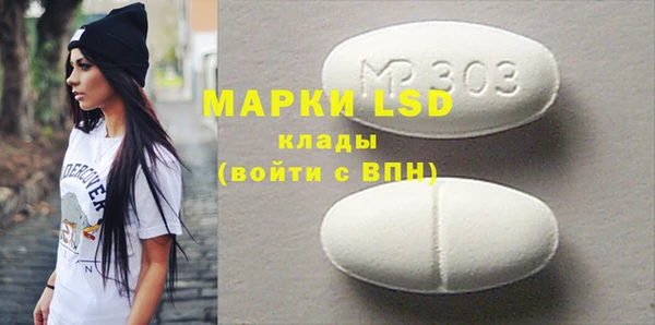 хмурый Верея