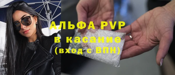 хмурый Верея