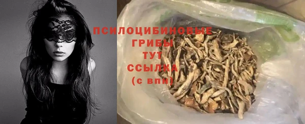 хмурый Верея