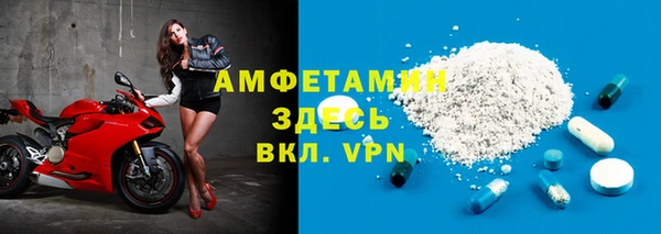 хмурый Верея