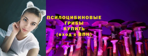 хмурый Верея