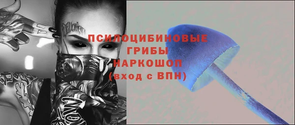 хмурый Верея