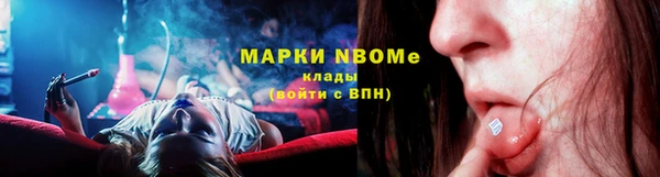 хмурый Верея