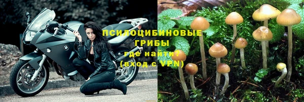 хмурый Верея