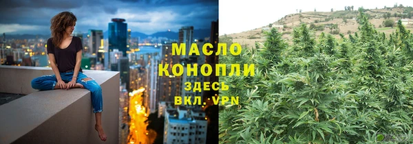 хмурый Верея